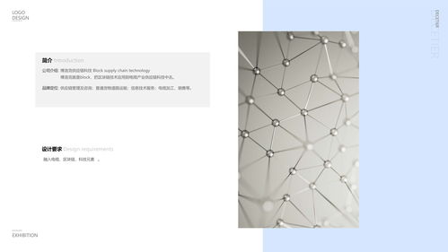 博洛克科技Logo设计 原创图文构建品牌视觉核心